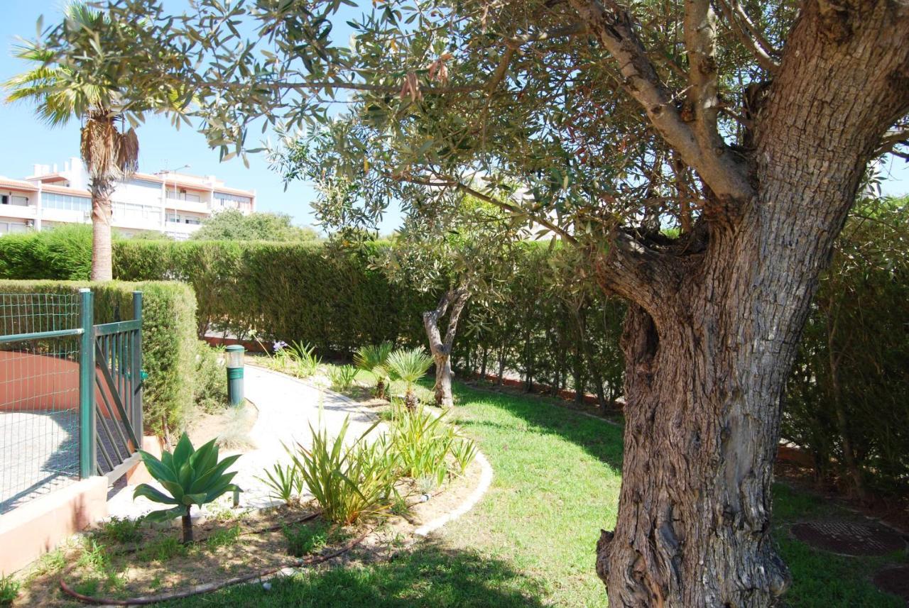 Beach Lounge Apartment Litoralmar Portimão Eksteriør billede